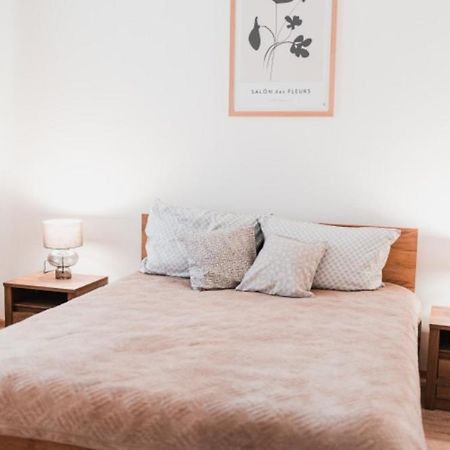 Apartmany Zeleznicarska Ústí nad Labem Εξωτερικό φωτογραφία